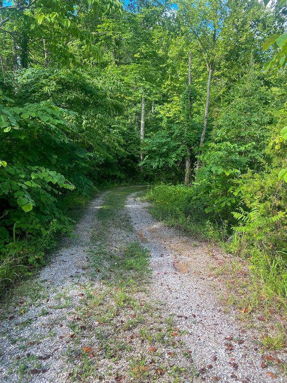 Rowan Ky 5 wilburn -005