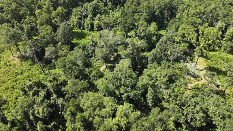 Copy of Copy of 53-DJI_20250710110231_0048_D