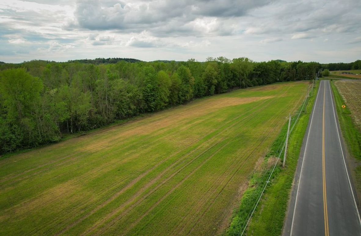 Wayne_85.97_King_Photos_2