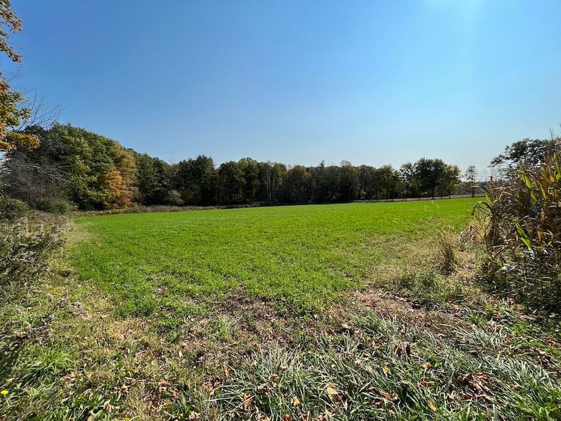 Yates_29_Stape Photo 37