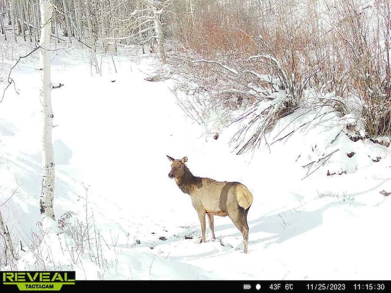 Copy of 7b586b04-8192-4134-befc-fe0b19162e85