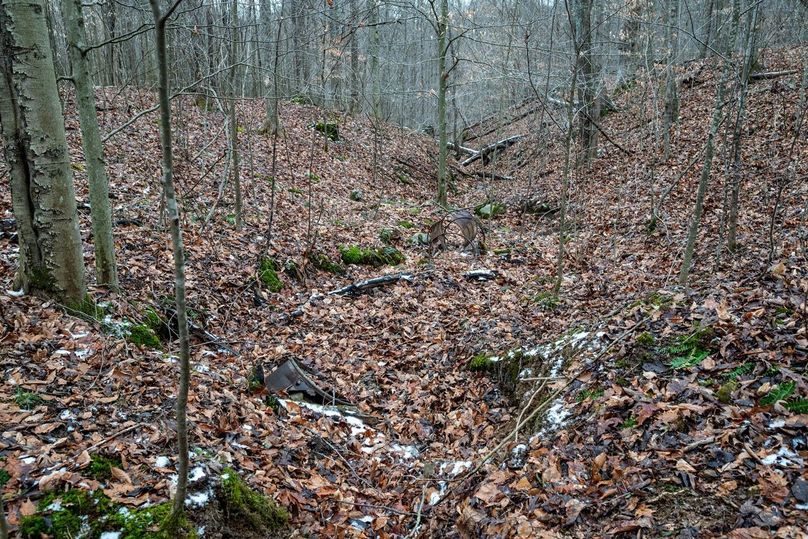 Copy of DSC_4552-Edit Large