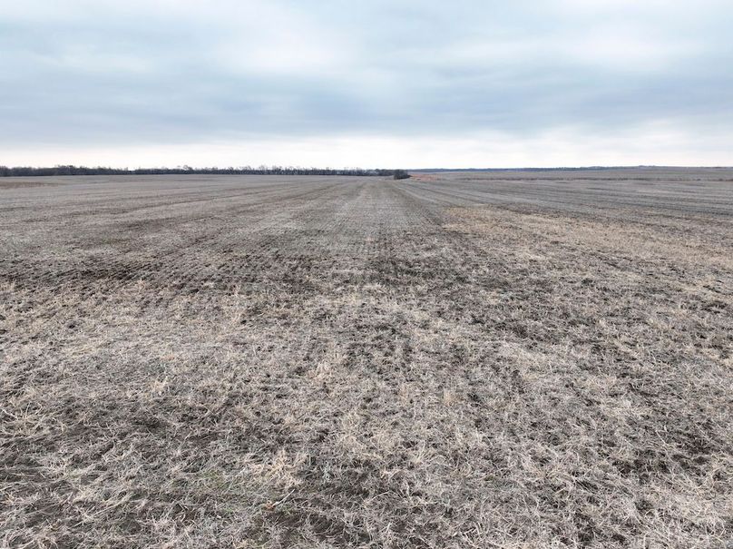Copy of Wash, Ks, T2, 79.3_004