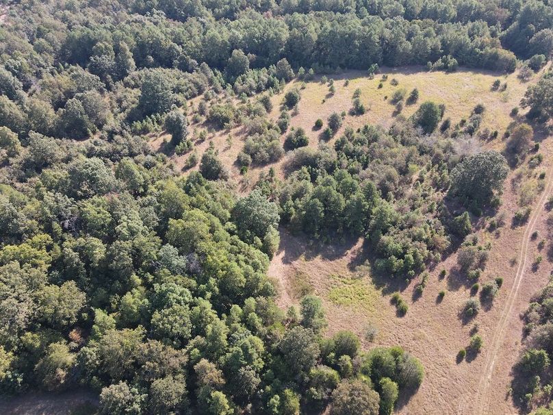 dji_fly_20250902_095642_734_1756825053019_photo