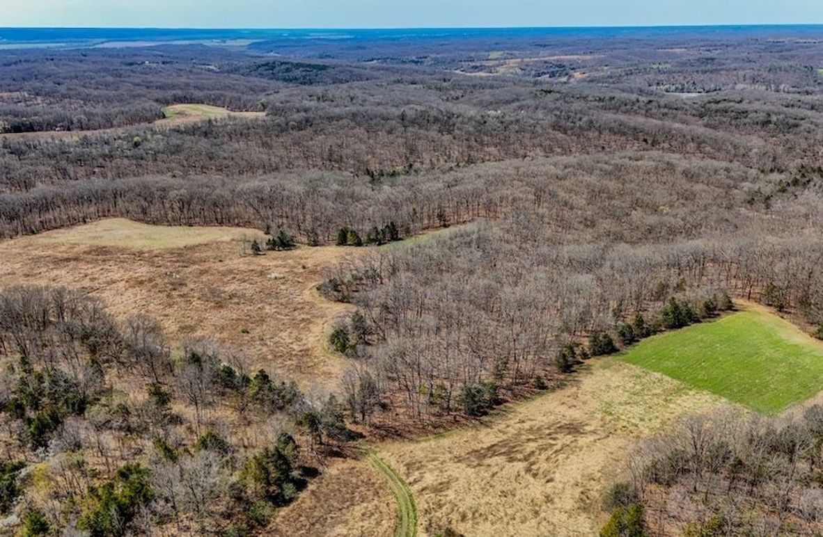 DJI_20250402113000_0005_D