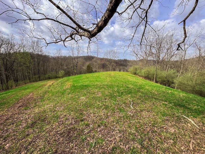 Ritchie, WV 206.08 AC Curriden-56