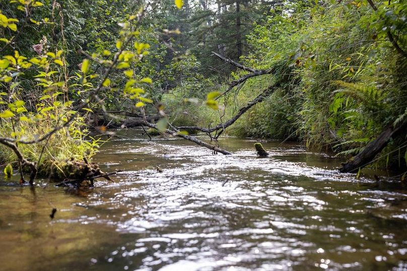 Mackinac 320 Copenhaver-3