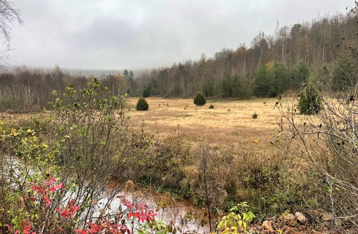 002 early spring morning over the creek -2