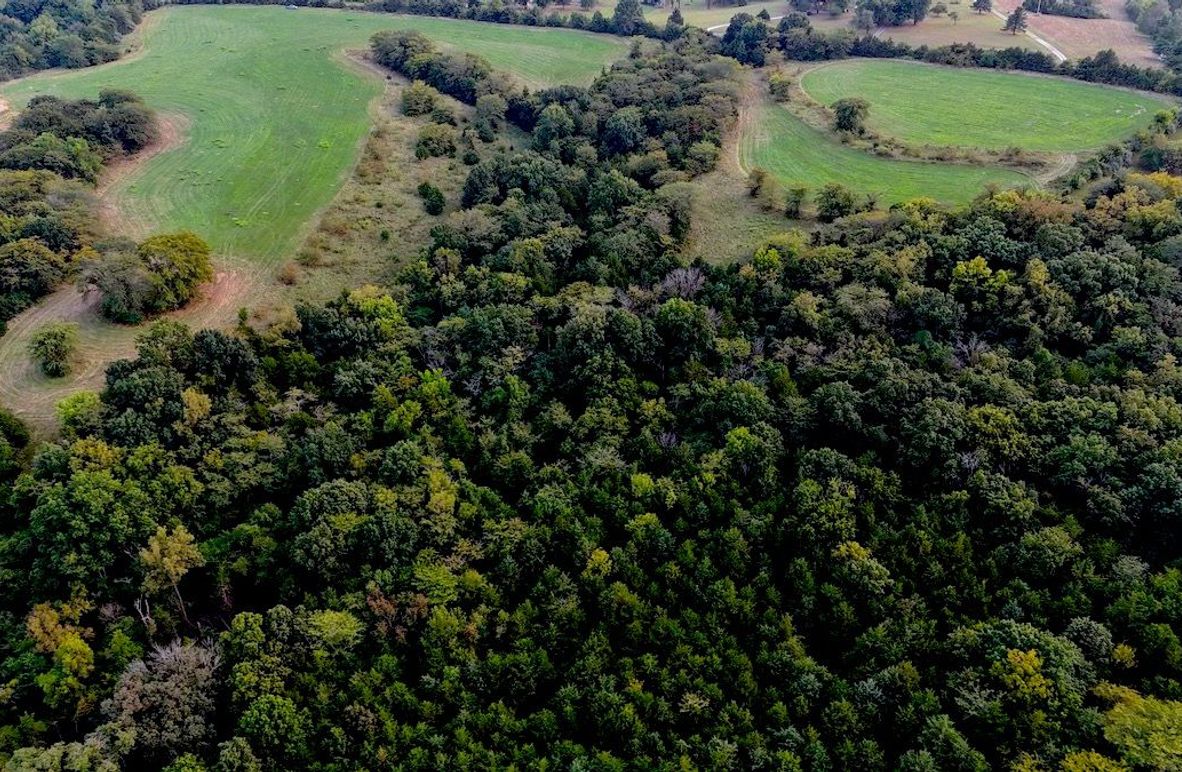 dji_fly_20250904_185446_0028_1757036592900_photo