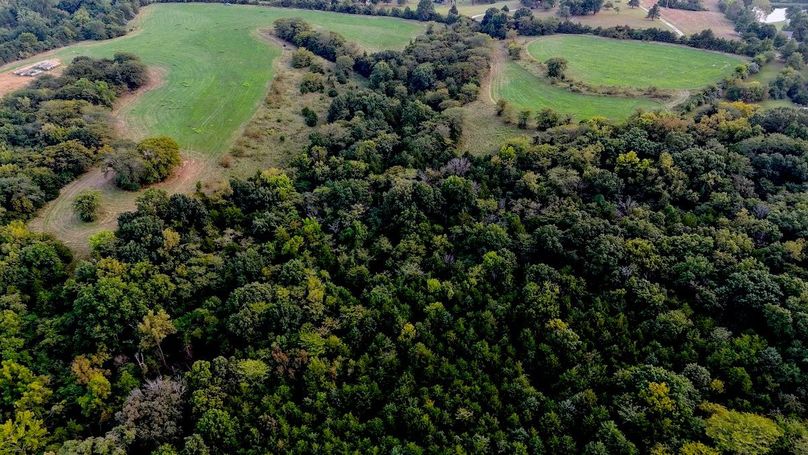 dji_fly_20250904_185446_0028_1757036592900_photo