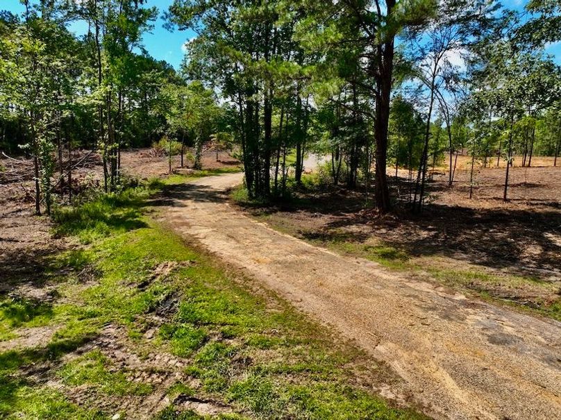 D0EEBF52-AC16-4D53-9652-044FFDC2D349_1_105_c