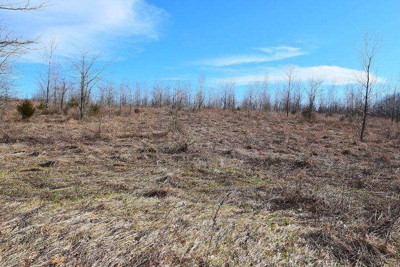 DSC_0321_inPixio (2)