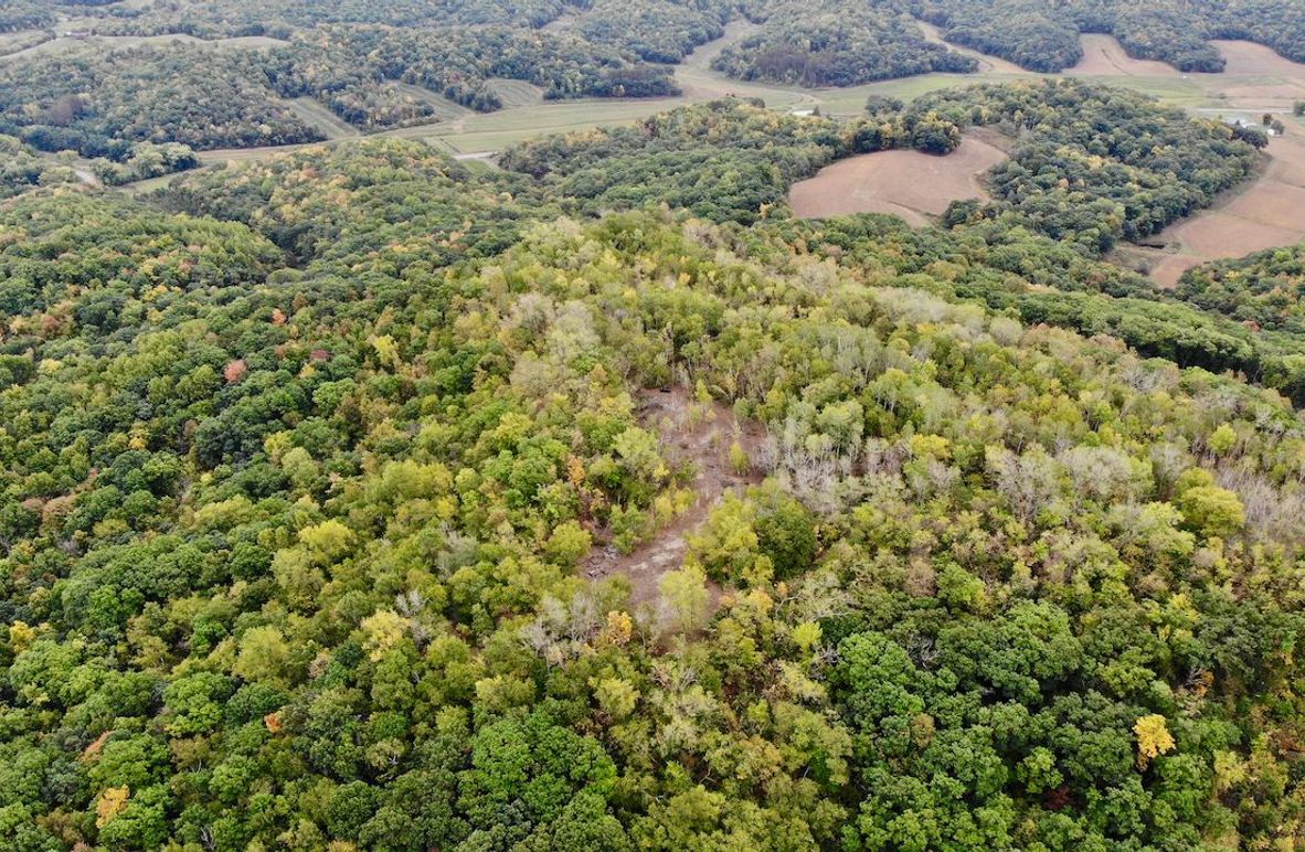 Monroe 66.23 - 2 of 46