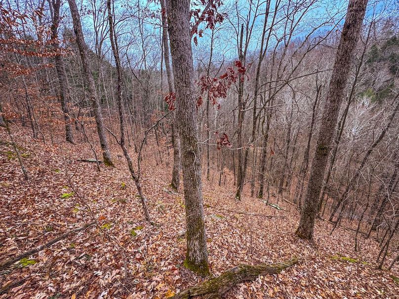 Ritchie, WV 15.5 AC Harper-08