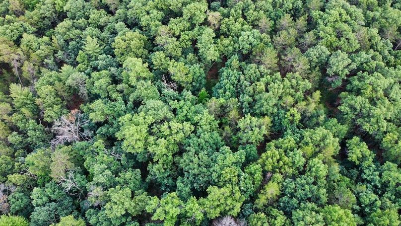 dji_fly_20250624_200426_917_1750813551956_photo_optimized
