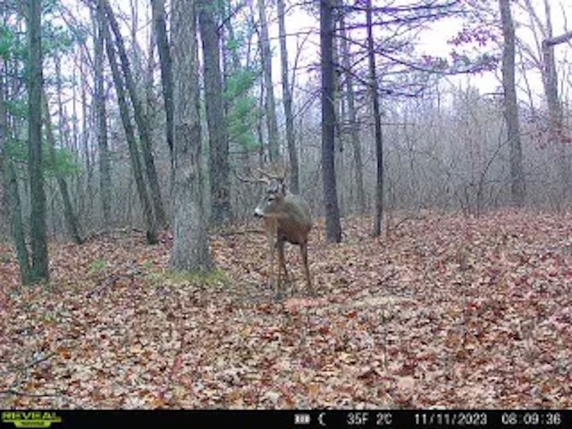 ClarK 160 WILLIAMS -62e