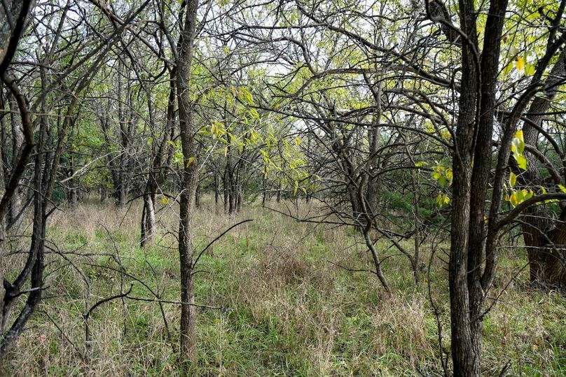 Dickinson Co, 154.5_019