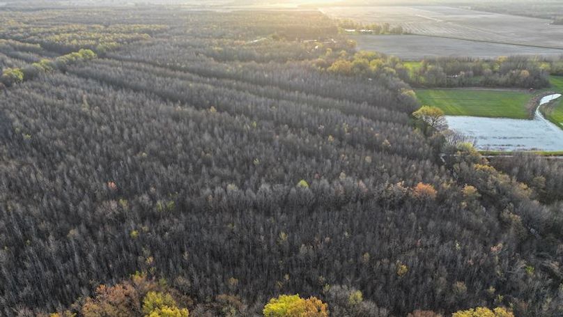 Panola 164.7 SPI Land Ventures-51