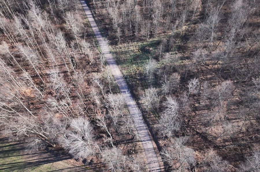 DJI_20241127033434_0737_D