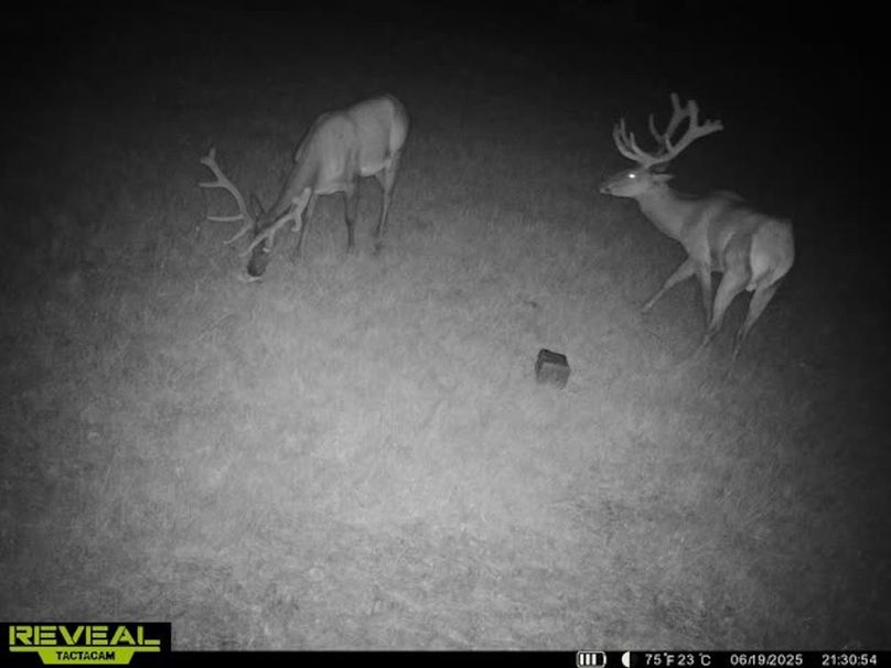 865509052769050-40-3-06192025213115-W1001303