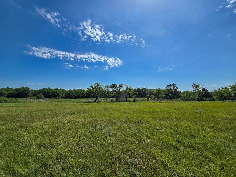 Copy of 20250729_113636