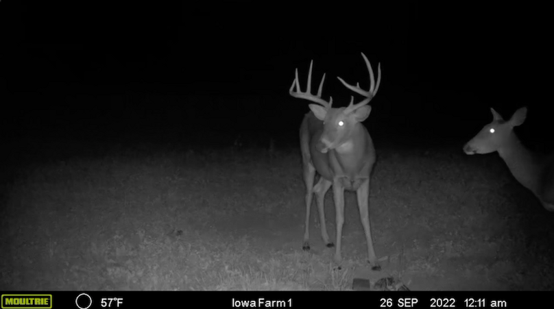 Screen Shot 2024-02-05 at 3.21.21 PM