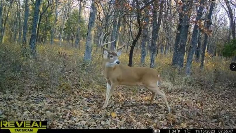 Screenshot_24-1-2026_84129_drive.google.com