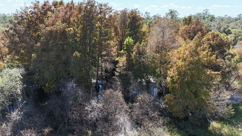 DJI_20251121122215_0021_D