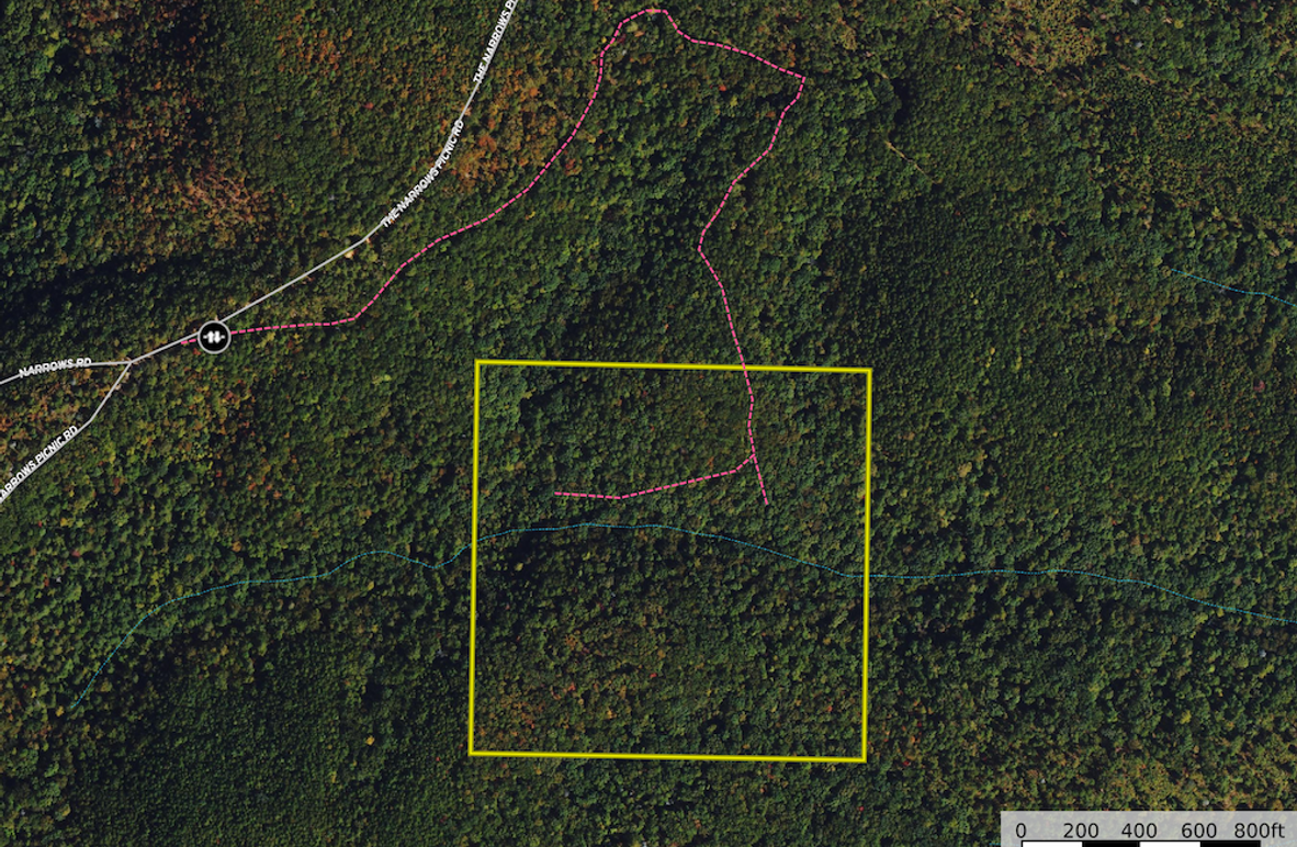 Aerial Map - The Narrows 40 Ac.