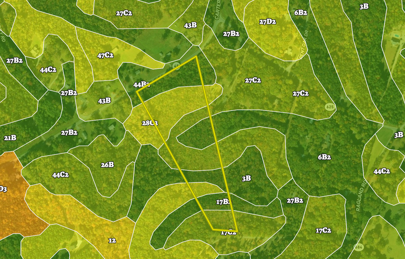 Screenshot 2024-09-18 at 5.07.44 PM