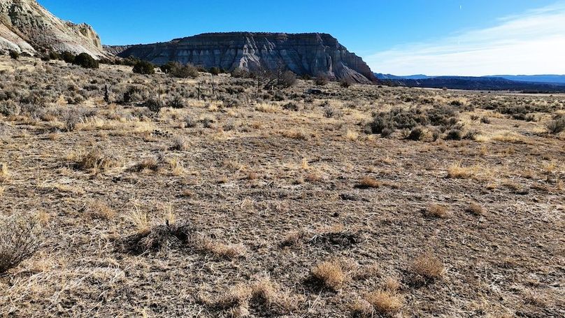 DJI_20241219102300_0083_D