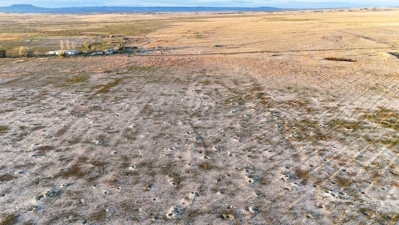 DJI_20240810065920_0086_D