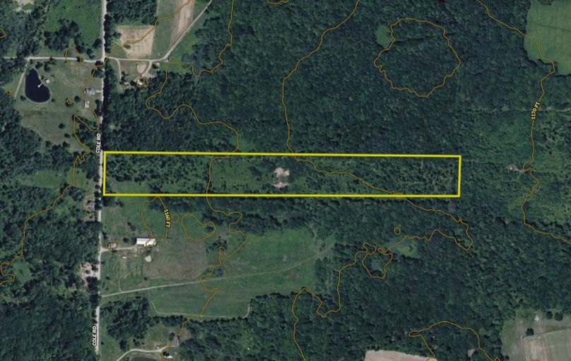 Screen Shot 2026-02-04 at 2.05.02 PM