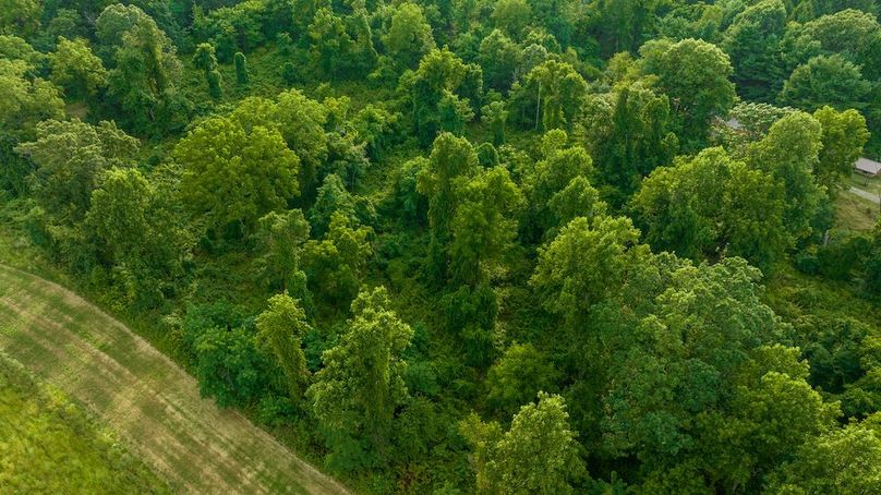 Orvis Listing Photos56