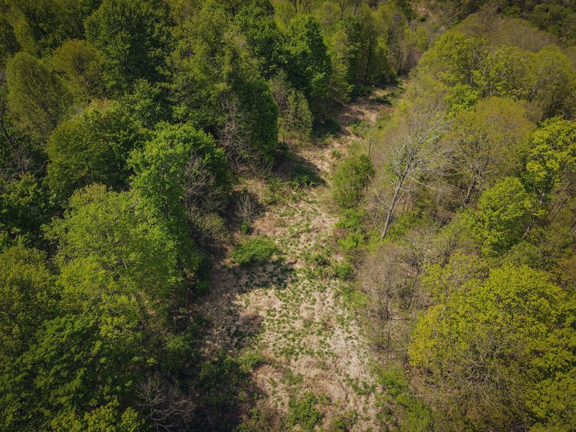 dji_fly_20230510_120256_658_1683734598647_photo