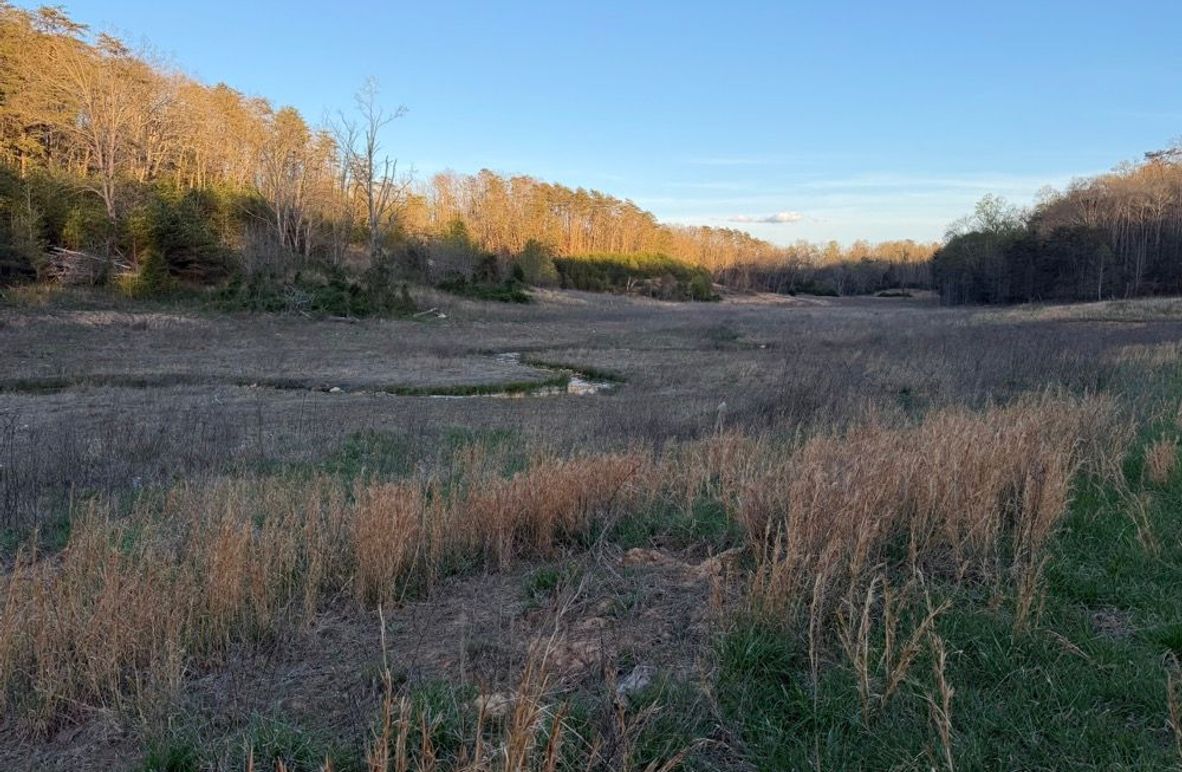 005 the northeast valley