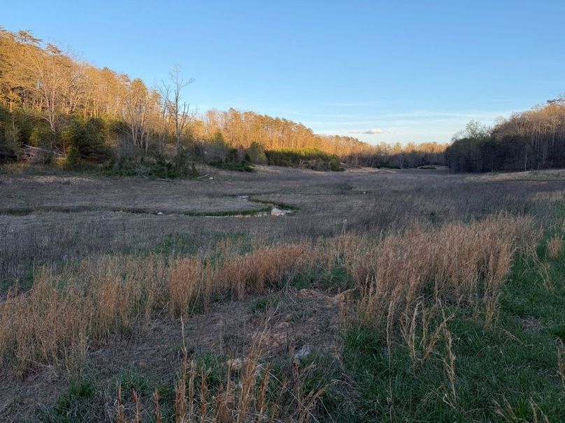 005 the northeast valley