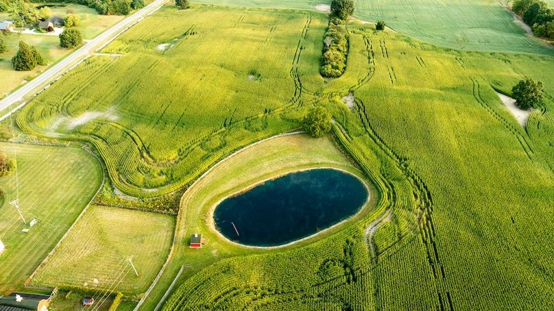 Lapeer MI 170 Featured_Pro Photo-97