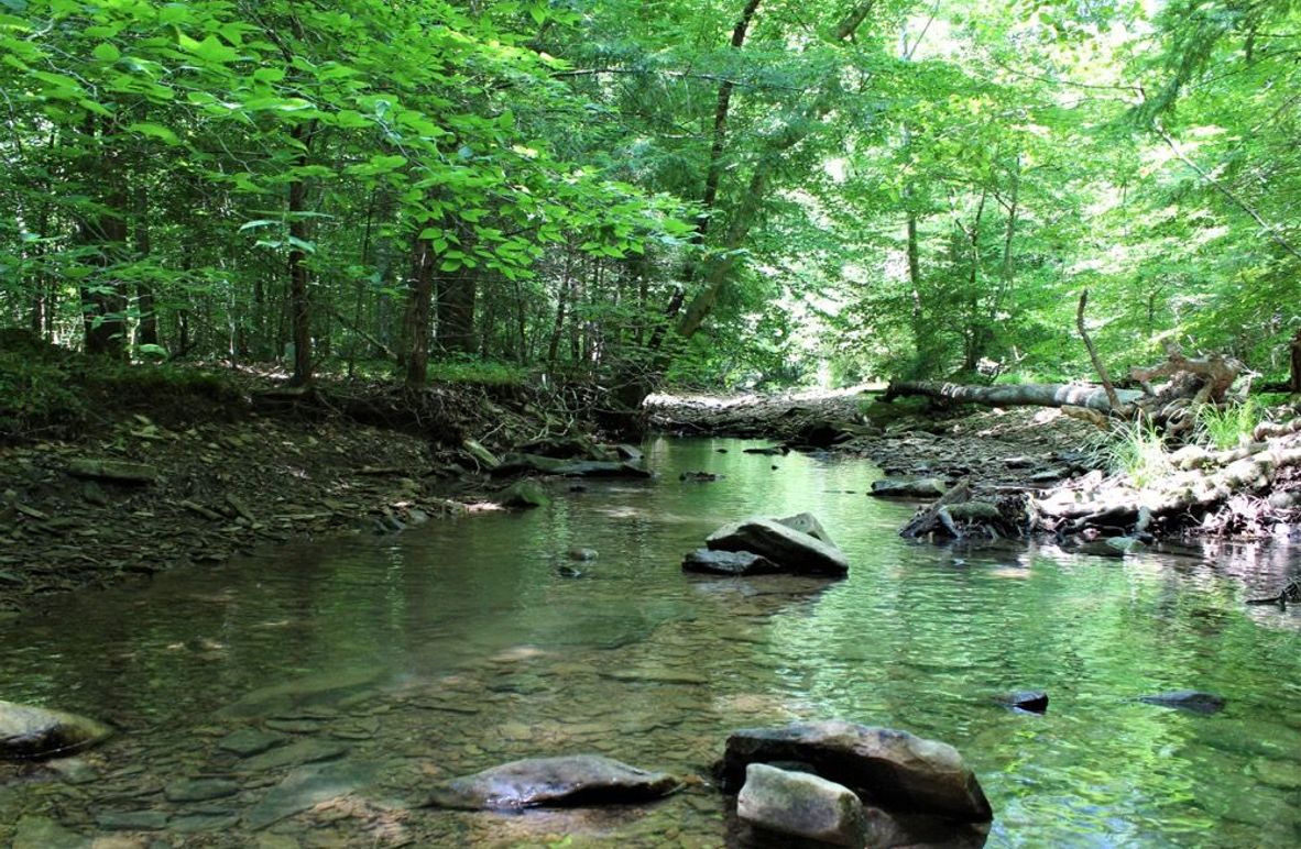 001 900_ of Brushy Creek, a blue line stream running west to east through the property