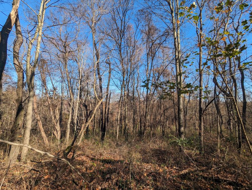 PXL_20231103_153453162