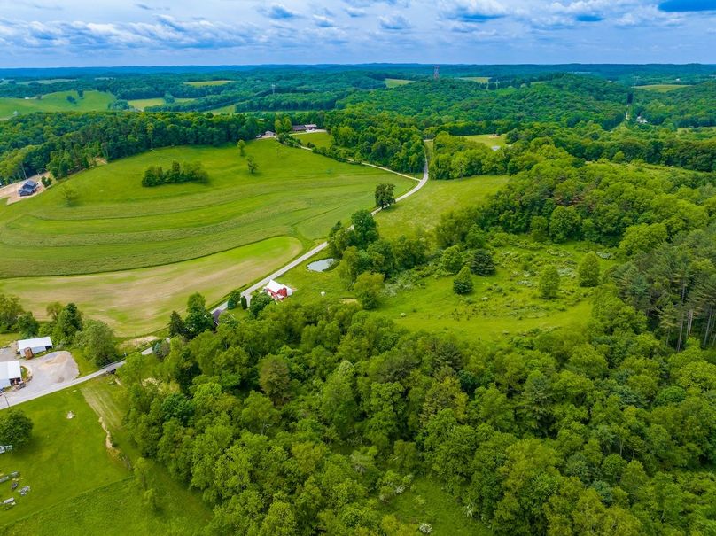 11-z 15773 Mary Ann008-2