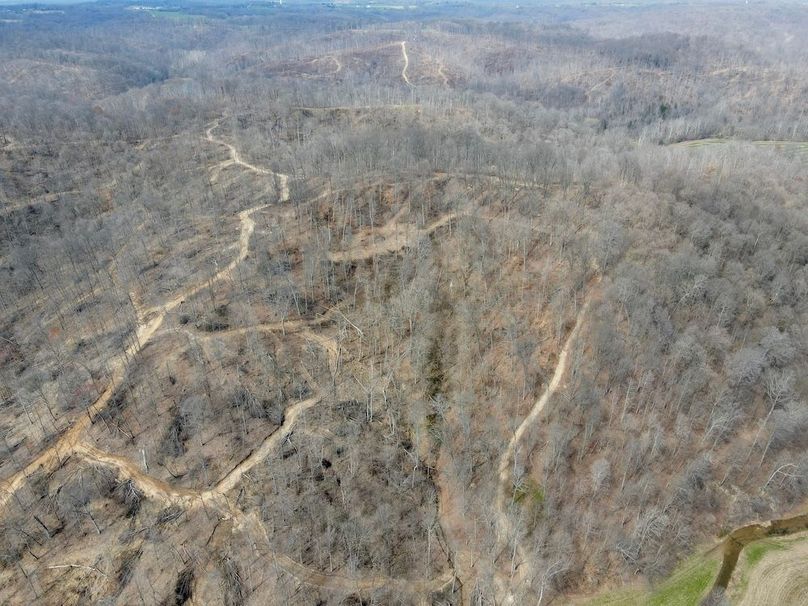 dji_fly_20240329_125116_557_1711731093321_photo