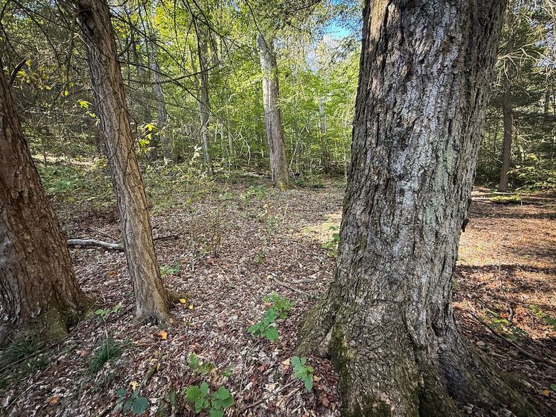 Tompkins NY 87 Allen Photos 44