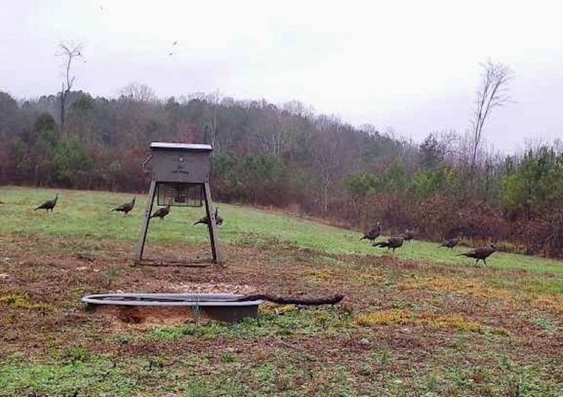 374343f5-f91d-43c1-82a4-d6476a92d9e7