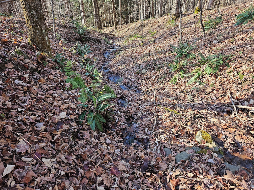 photo_395b74c6-741e-4920-9de3-0dbcd8bef154