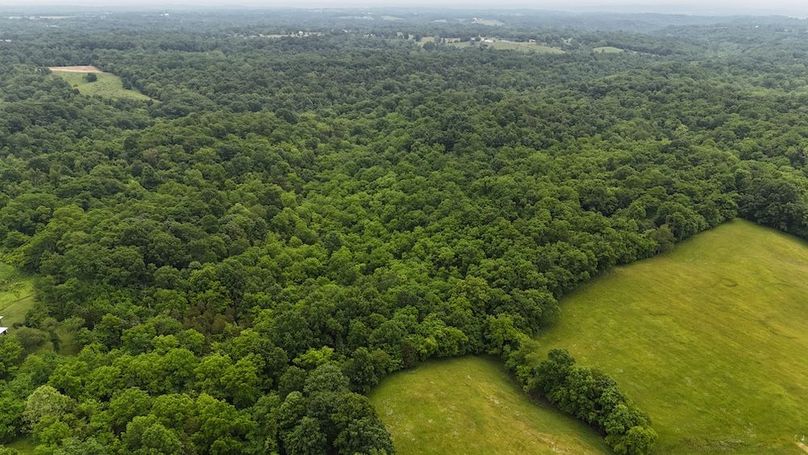 DJI_20250605131855_0655_D
