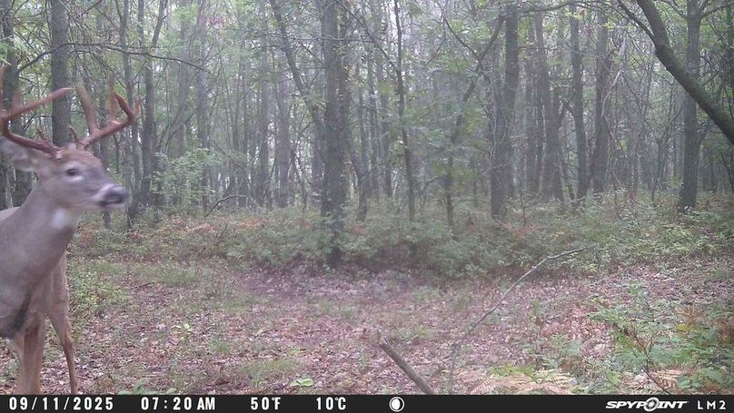Copy of Trailcam11