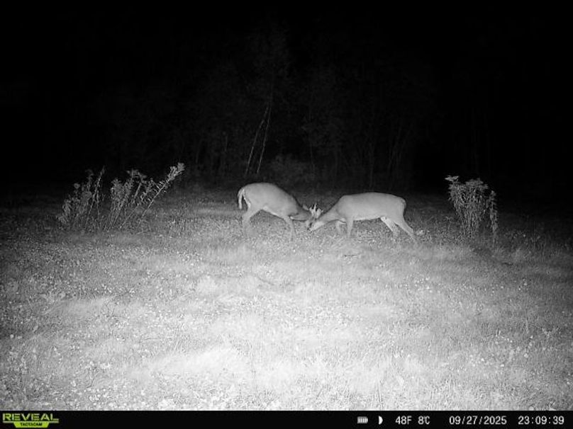 864049056287651-100-3-09272025230938-W1000211