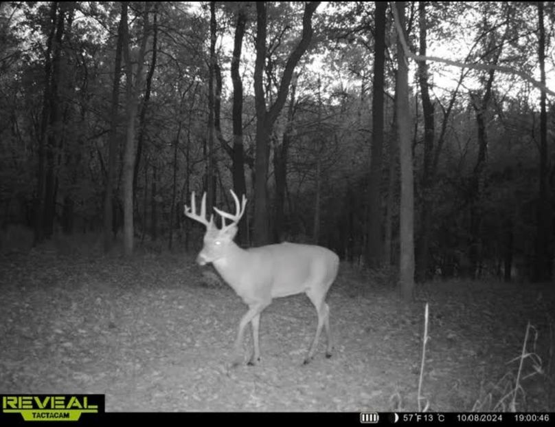 Screenshot 2026-02-11 at 9.17.26 AM