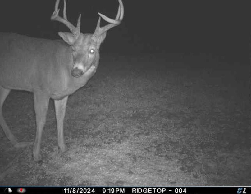 trail cam33